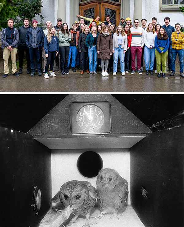 Titleimage: Conservation Biology Titleimage: Conservation Biology