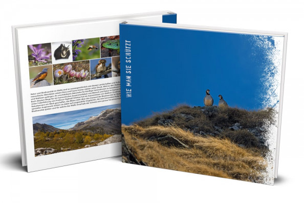 Buch mit der Titelseit zu Birds and biodiversity of Valais