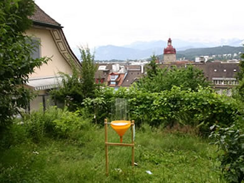 Here is a picture from Urban BiodiverCity project