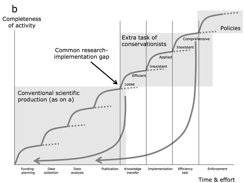 Here is a picture about Research implementation
